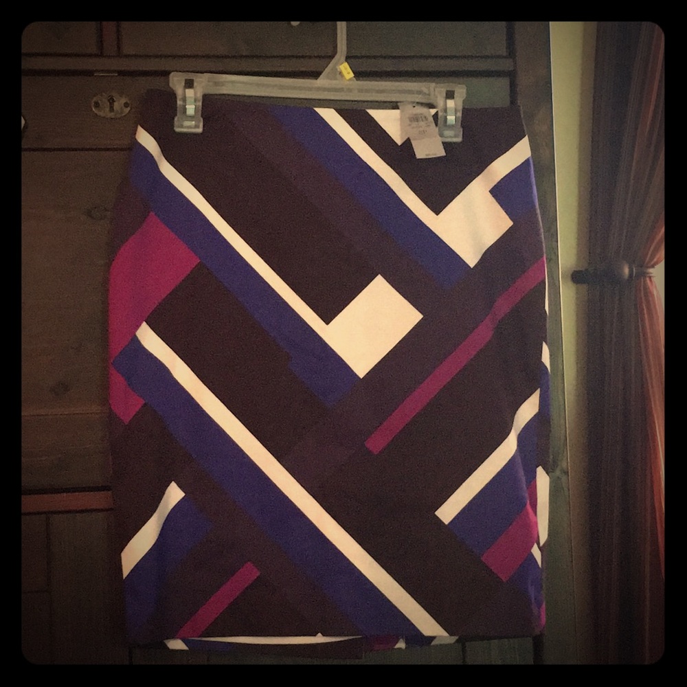 Ann Taylor skirt